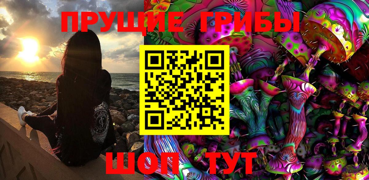 Псилоцибиновые грибы GOLDEN TEACHER Сибай