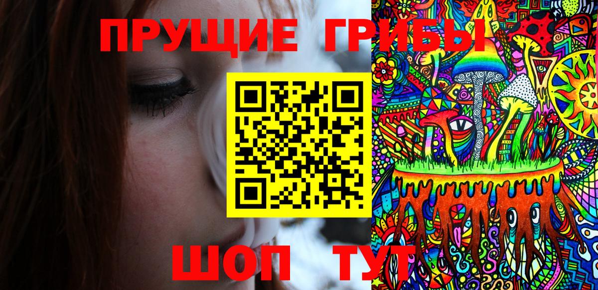 Сибай  Псилоцибиновые грибы Psilocybine cubensis  Вход с VPN 